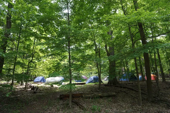 North Carolina Site 11 0
