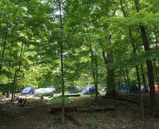 North Carolina Site 11