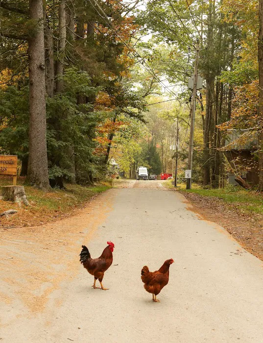 Neversink River Resort 2