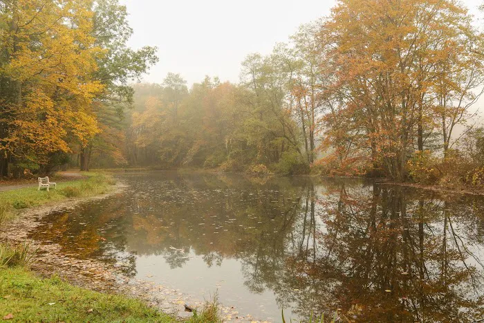 Neversink River Resort 4