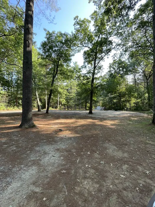 Lorraine Park Campground 2
