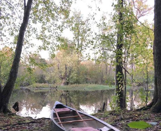 Perkins Island