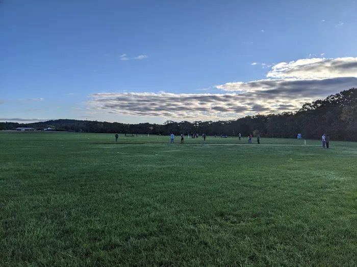 Acton Fields 5