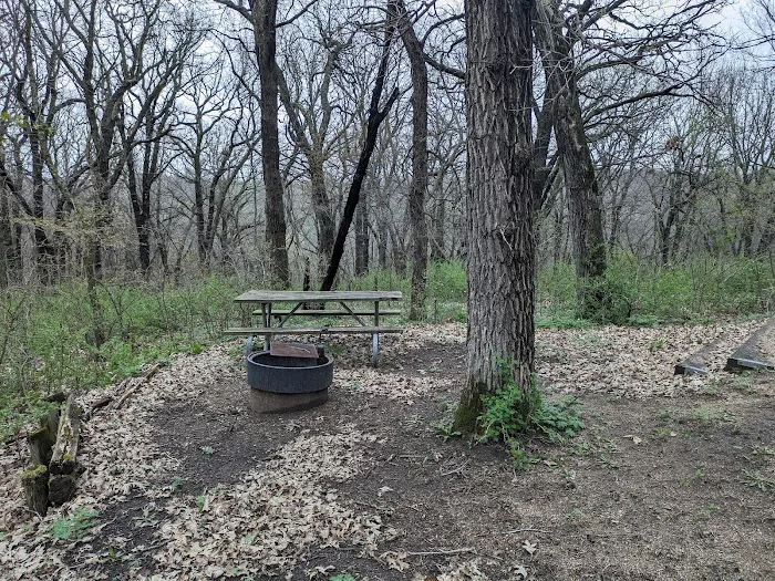 Kilen Woods Campground 1