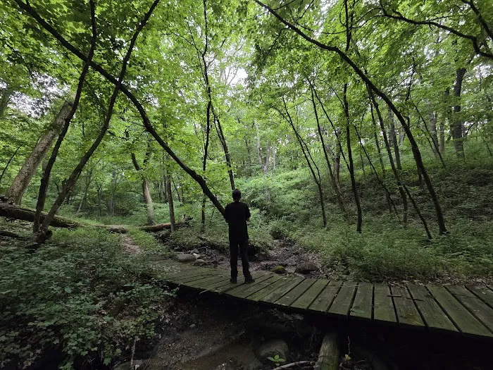 Kilen Woods Campground 0