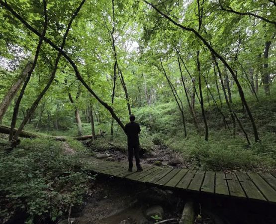 Kilen Woods Campground
