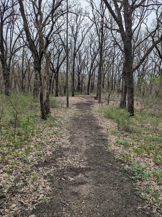 Kilen Woods Campground 5