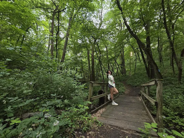 Kilen Woods Campground 2