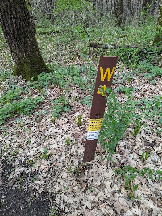 Kilen Woods Campground 7