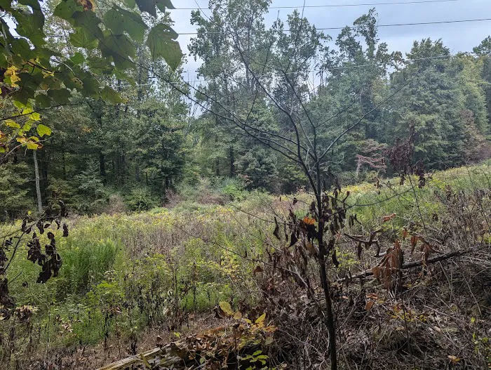 Voorhees State Park 2