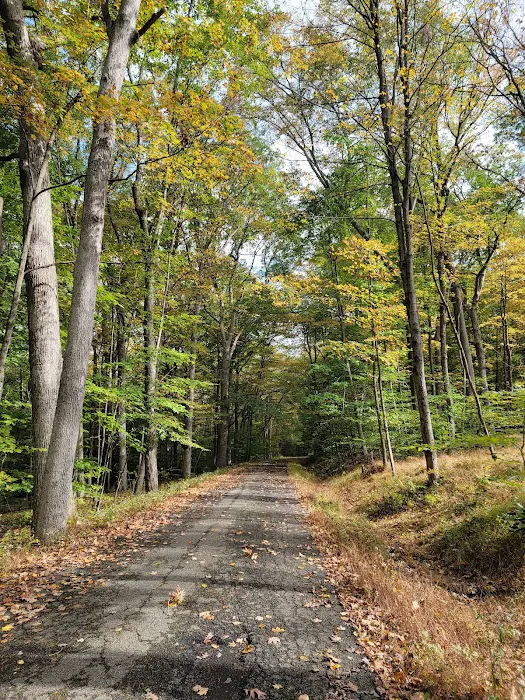 Voorhees State Park 5