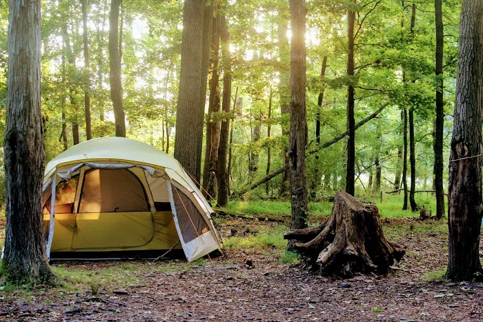 Deer Wood Campground 3