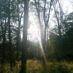 Deer Wood Campground