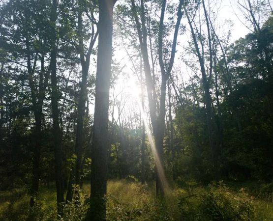 Deer Wood Campground