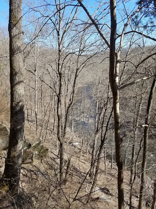 Deer Wood Campground 9