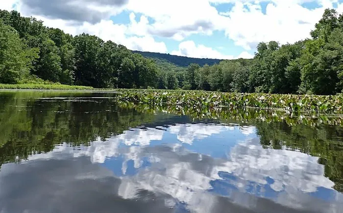 Stephens State Park Campground 2