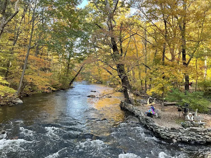 Stephens State Park Campground 9