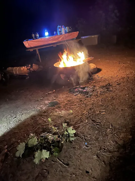 Dingmans Campground 8