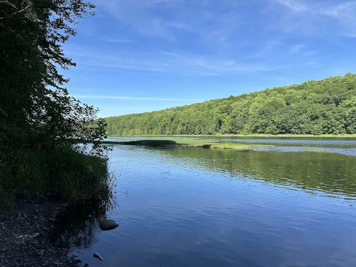Dingmans Campground 5