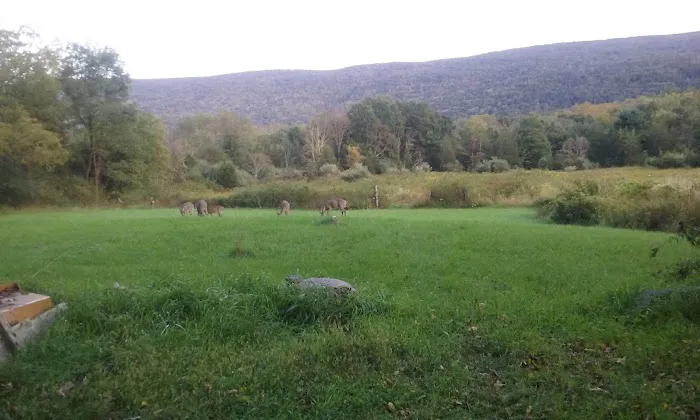 Bear Creek Campgrounds 0