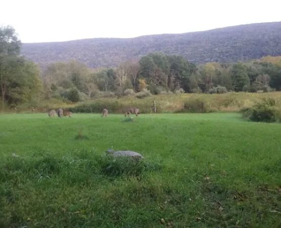 Bear Creek Campgrounds