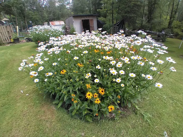 Bear Creek Campgrounds 8