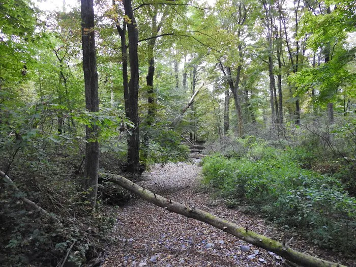 National Park Service - Delaware River - Jerry Lees - Campsites # 33-34 7