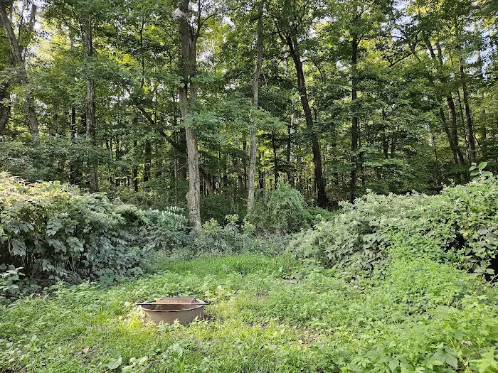 National Park Service - Delaware River - Jerry Lees - Campsites # 33-34 5