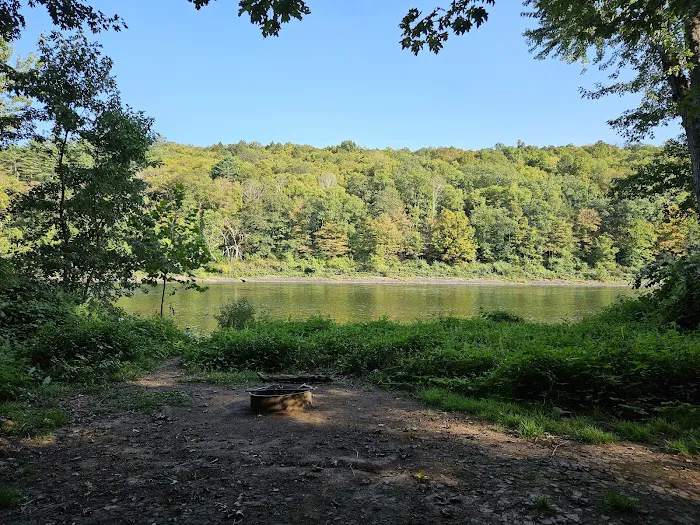 National Park Service - Delaware River - Jerry Lees - Campsites # 33-34 9
