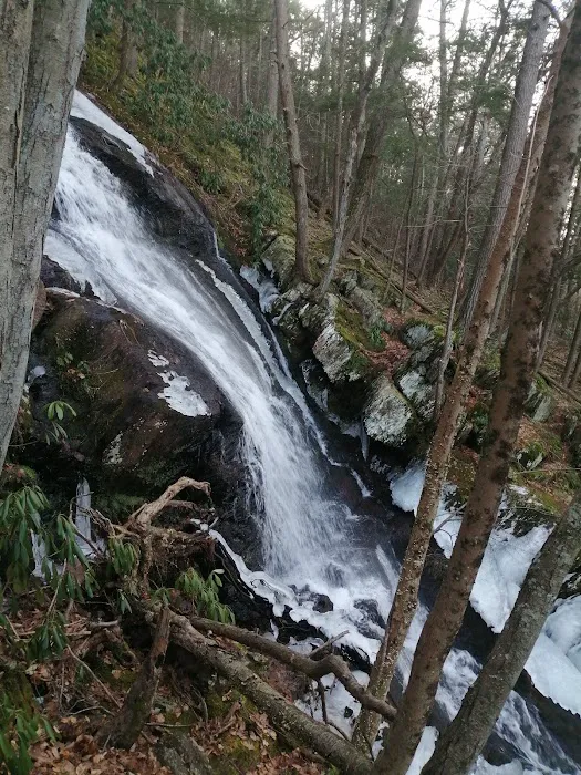 River Bend Group Campground 3