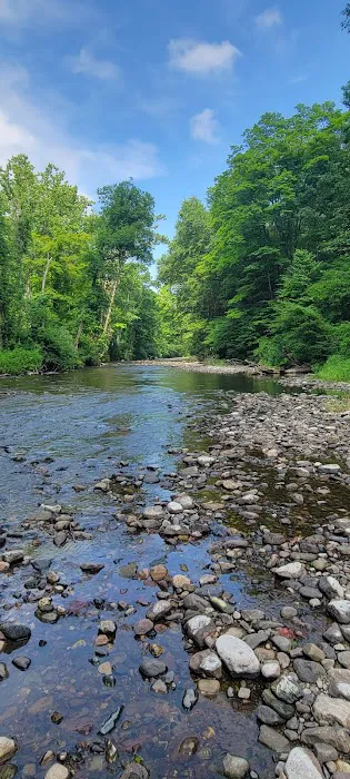 River Bend Group Campground 6