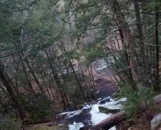 River Bend Group Campground