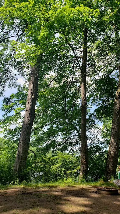 Worthington State Forest Campground 3