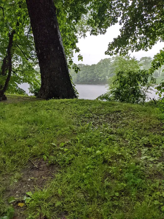 Worthington State Forest Campground 6