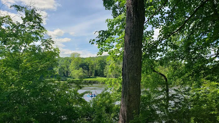 Worthington State Forest Campground 8