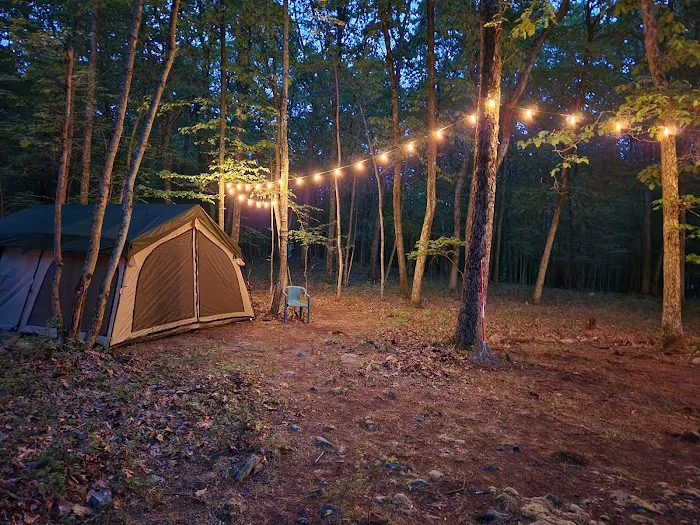 Camp Cruser 3