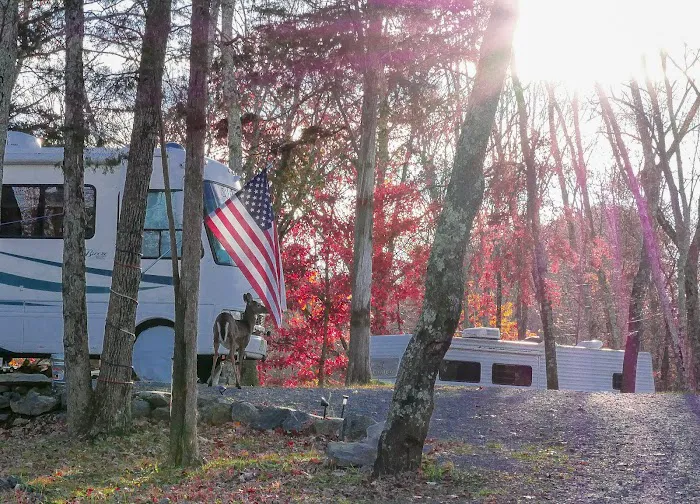 Delaware Water Gap / Pocono Mountain KOA Holiday 4