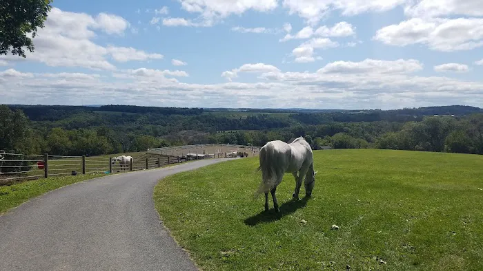 PA Camping, The Pennsylvania Campground Owners Association 1