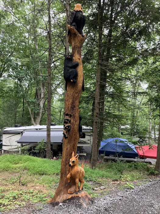 Mountain Vista Campground 6