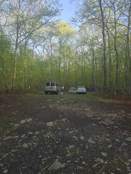 State Forest Campsite #S001 0