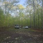 State Forest Campsite #S001