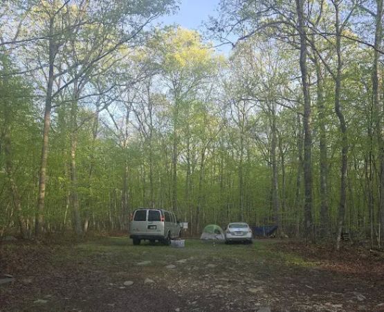 State Forest Campsite #S001