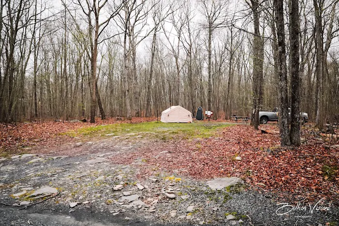 State Forest Campsite #S001 2