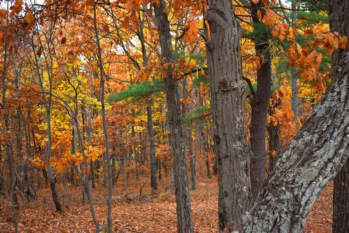 Camp Out Poconos 9