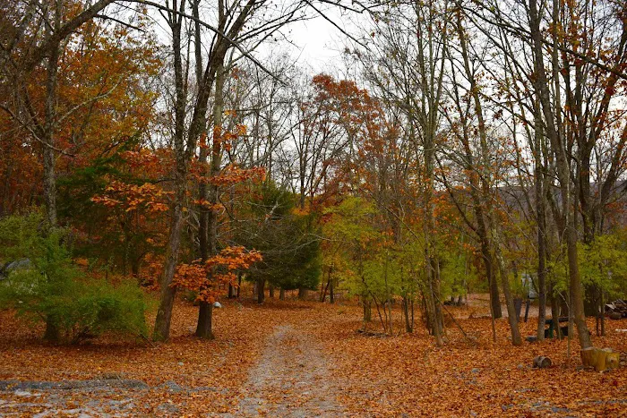 Camp Out Poconos 8