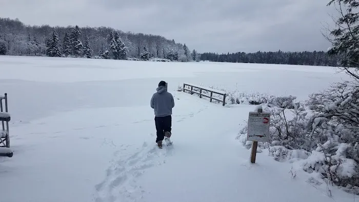 Pickerel Point Campground 0