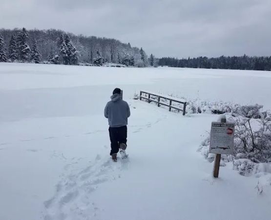 Pickerel Point Campground