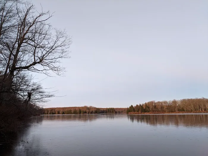 Pickerel Point Campground 4