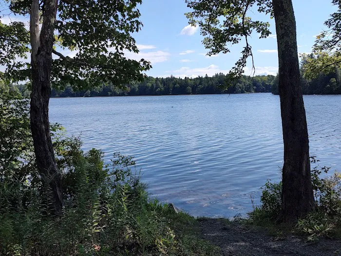 Pickerel Point Campground 6