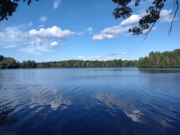 Pickerel Point Campground 7
